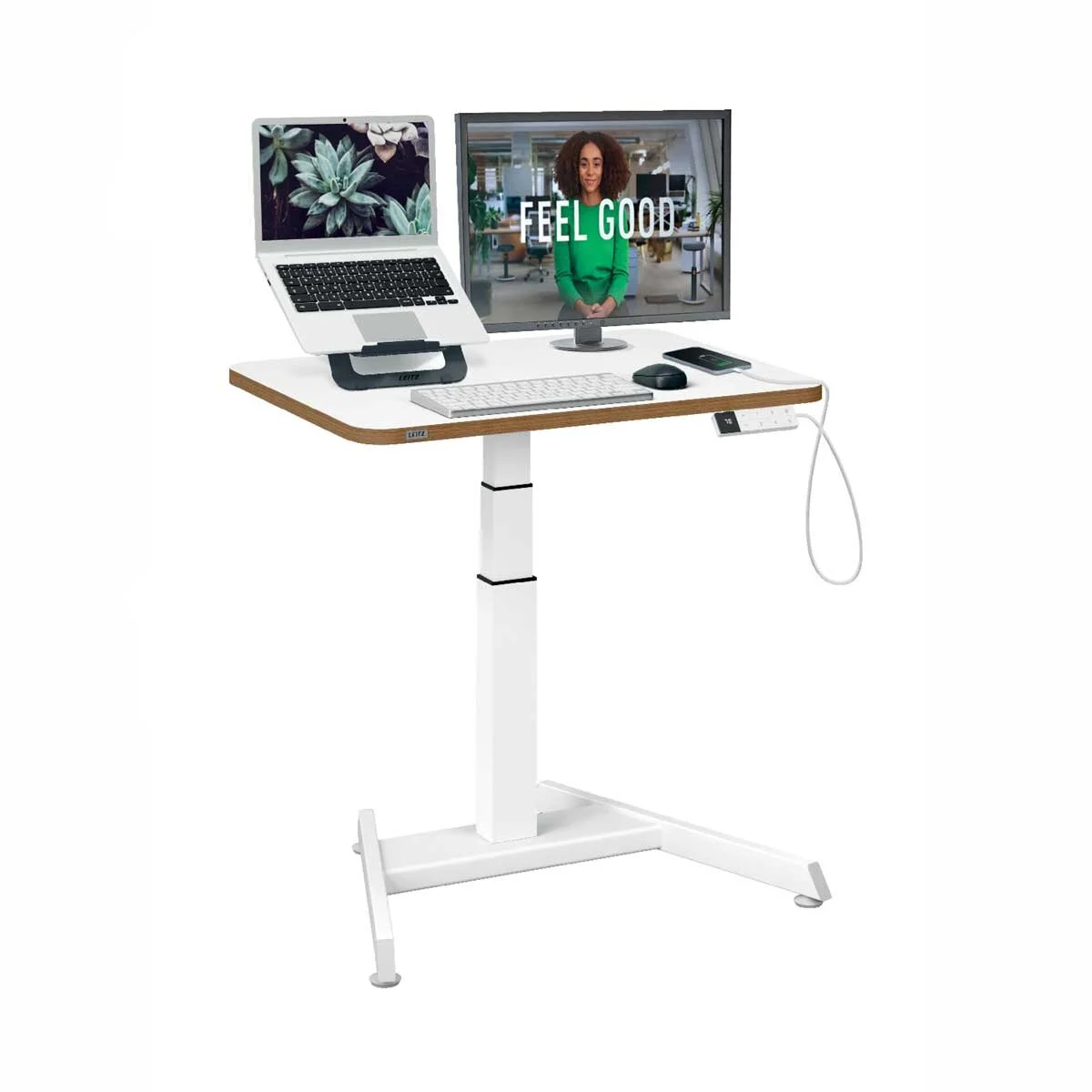 Sit-stand